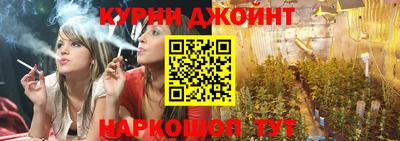 a pvp Новодвинск
