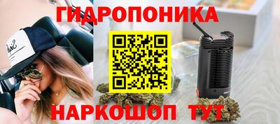 ECSTASY Новозыбков