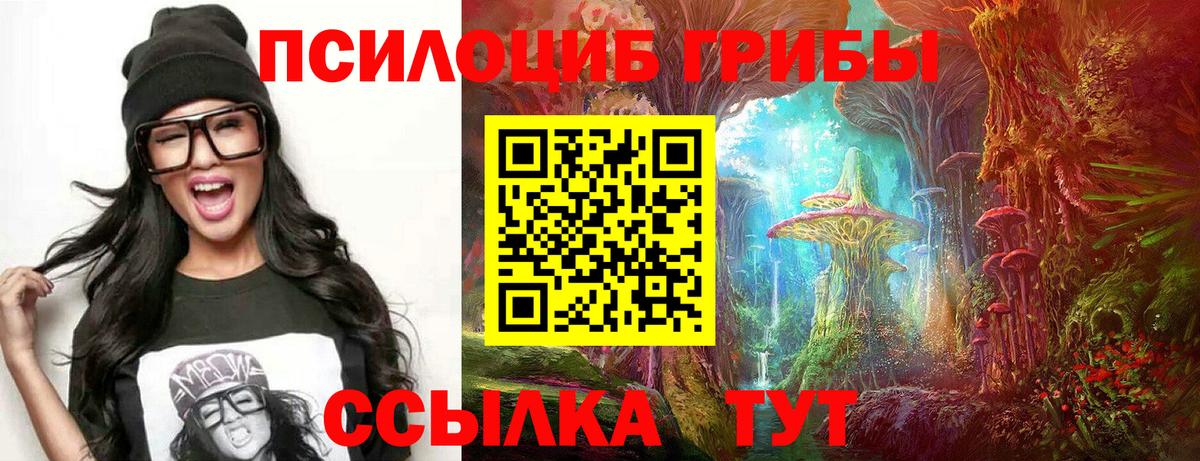 Псилоцибиновые грибы GOLDEN TEACHER Гай