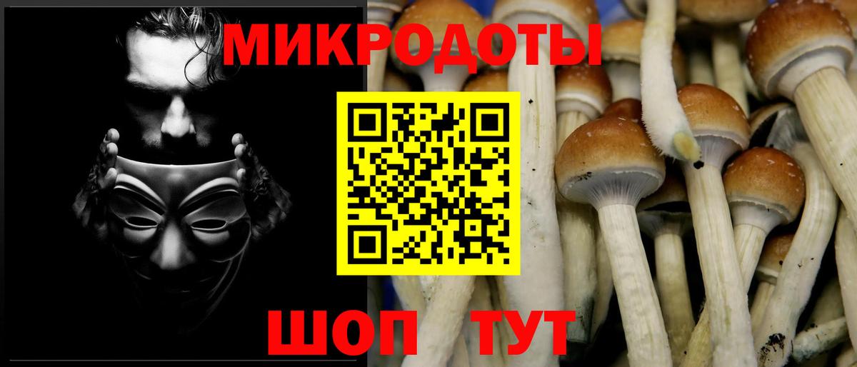 Галлюциногенные грибы ЛСД  Галлюциногенные грибы ЛСД  Вход с VPN  купить  цена  Гай 